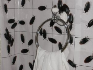 5 Spooky Ways to Decorate Your Bathroom this Halloween!