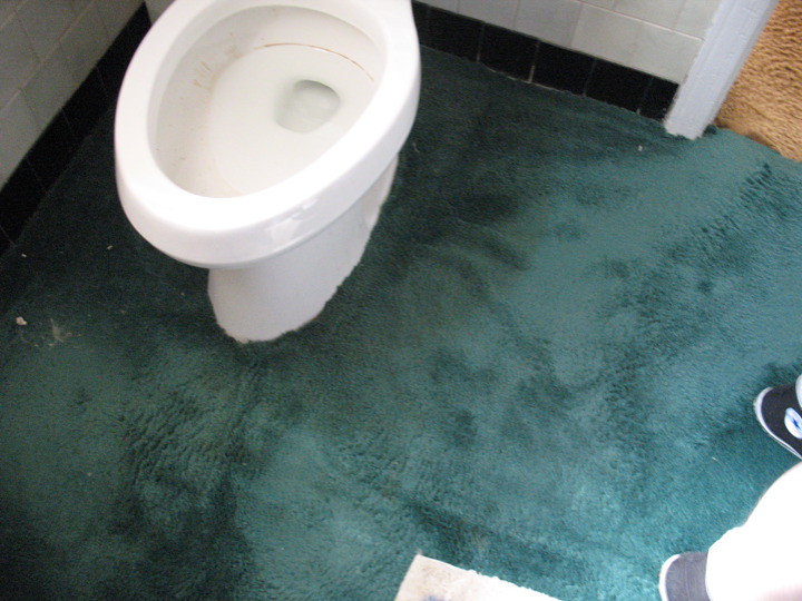 Carpet In The Bathroom, How To Fit A Bathroom Carpet
